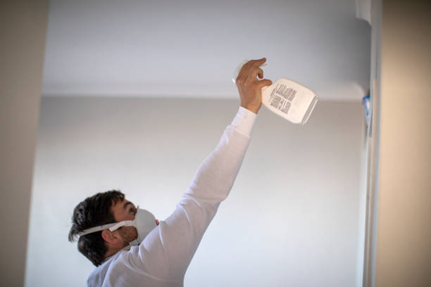 Best Attic Mold Removal  in Hempstead, TX