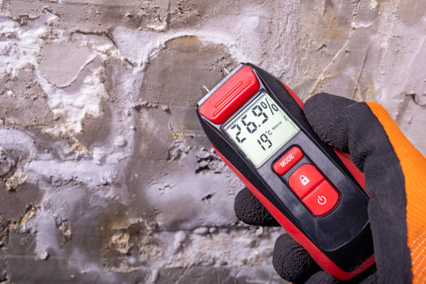 Professional Mold Removal in Hempstead, TX