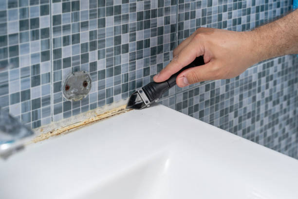 Best Black Mold Removal  in Hempstead, TX