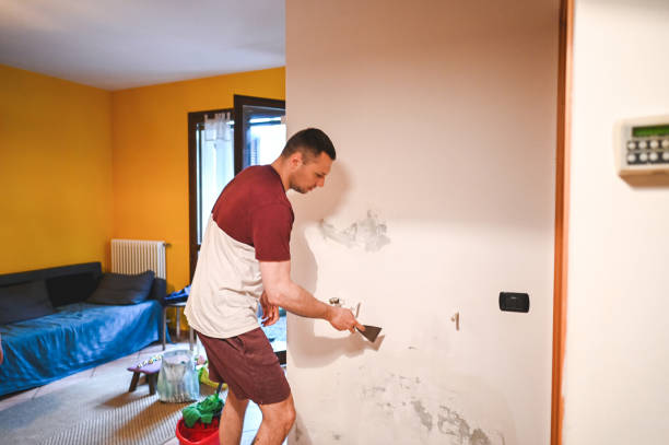 Best Mold Removal Company Near Me  in Hempstead, TX